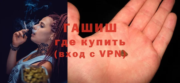 сатива Арсеньев
