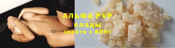 СК Алексин