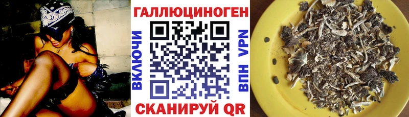 цены наркотик  Нефтегорск  Галлюциногенные грибы прущие грибы 